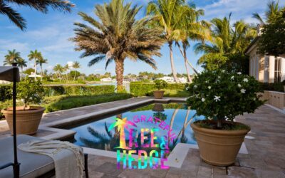 Prepare Your Yard for Hurricane Season and Summer with Grateful Tree & Hedge